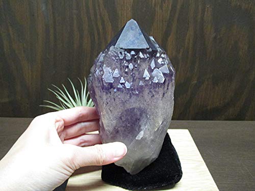 希少♡ ボリビア産 アメジスト クラスター 原石 台座付き 紫水晶 天然石 Amazon.co.jp: ボリビア産アメジスト 原石 紫水晶 天然石専門店 販売